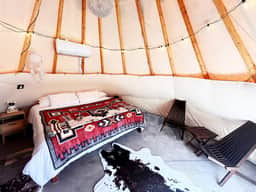 Native American Bison Tipi - Image 3