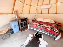 Native American Bison Tipi - Image 4