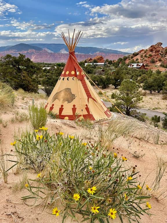 Native American Bison Tipi - Image 2